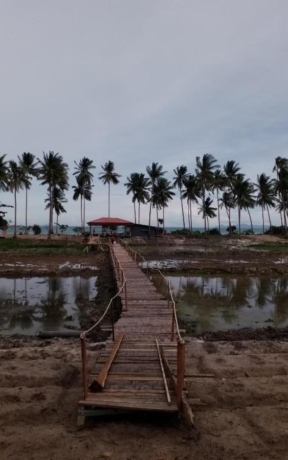 I - Talay Taling Ngam Samui - เขา ป่า นา เล ตลิ่งงาม สมุย Hotell Eksteriør bilde
