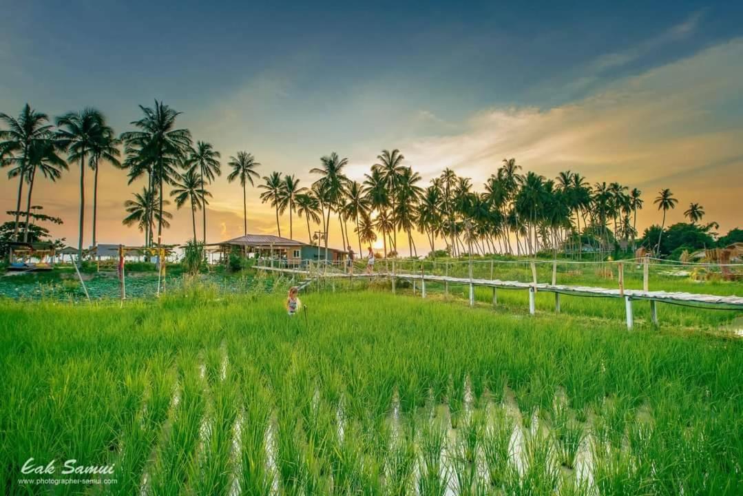 I - Talay Taling Ngam Samui - เขา ป่า นา เล ตลิ่งงาม สมุย Hotell Eksteriør bilde
