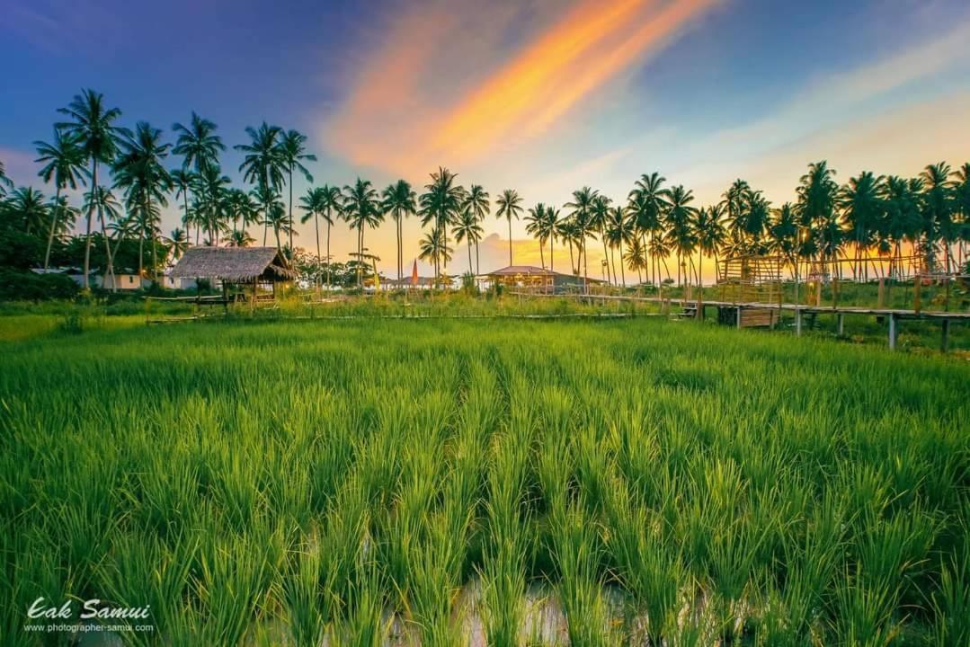 I - Talay Taling Ngam Samui - เขา ป่า นา เล ตลิ่งงาม สมุย Hotell Eksteriør bilde